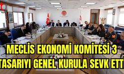 Meclis Ekonomi Komitesi 3 tasarıyı Genel Kurula sevk etti