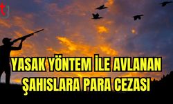 Yasak yöntem ile avlanan şahıslara para cezası