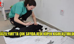 Güzelyurt’ta İsviçre’den gelen ekip çok sayıda kedi ve köpeği kısırlaştırdı.