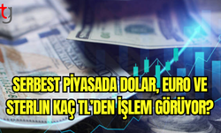 Döviz Piyasası Güncellemeleri: Dolar ve Euro’da Son Rakamlar