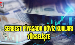 Dolar ve Euro Yeni Haftaya Rekorla Başladı