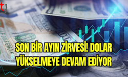 Dolar, Euro ve Sterlinin Güncel Kurları Açıklandı