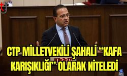 CTP Milletvekili Şahali "Kafa Karışıklığı" olarak niteledi