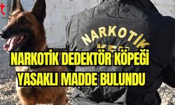 Narkotik dedektör köpeği yasaklı madde buldu