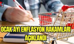 Ocak ayı enflasyon rakamları açıklandı