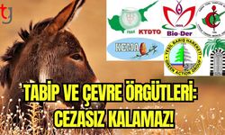 Tabip ve çevre örgütleri: Cezasız kalamaz!