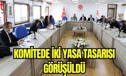 Komitede iki yasa tasarısı görüşüldü