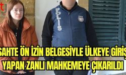 Sahte ön izin belgesiyle ülkeye giriş yapan zanlı mahkemeye çıkarıldı