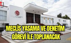 Meclis yasama ve denetim görevi ile toplanacak