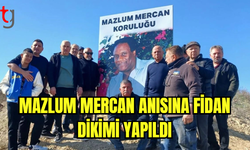 Mazlum Mercan Anı Ormanı için fidan dikildi