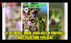 13. Geleneksel Orkide Vadisi Gözlem Yürüyüşü 9 Mart Pazar günü yapılacak
