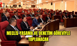 Meclis yasama ve denetim göreviyle toplanacak