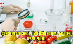 Çilek ve patlıcanda limit üstü koruma maddesi