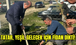 Cumhurbaşkanı Tatar Arıdamı köyünde fidan dikme etkinliğine katıldı