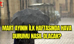 1-7 Mart Arasında Soğuk ve Nemli Hava Etkili Olacak