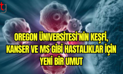 Bilim İnsanları, Kanser ve MS Tedavisinde Kullanılabilecek Doğal Bileşik Keşfetti