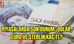 Döviz Kurları Yükselişte: Dolar 36,60 TL