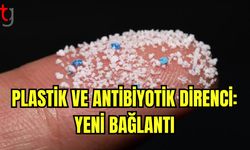 Plastik Kirliliği, Halk Sağlığına Tehdit