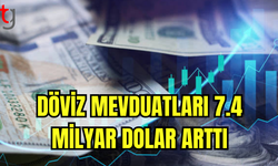 DÖVİZ MEVDUATINDA BÜYÜK ARTIK: YILBAŞINDAN BUGÜNE 7.4 MİLYAR DOLAR