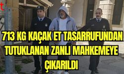 713 Kg Kaçak et tasarrufundan tutuklanan zanlı mahkemeye çıkarıldı