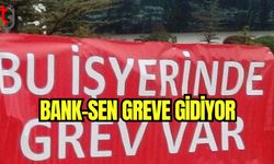 Bank-Sen greve gidiyor