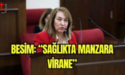 Besim: "Sağlıkta manzara virane"