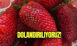 Dolandırılıyoruz!