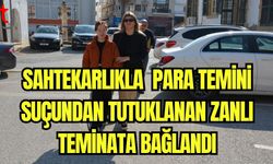 Sahtekarlıkla para temini suçundan tutuklanan zanlı teminata bağlandı