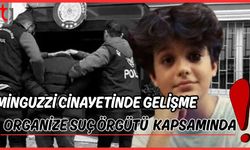 Minguzzi cin**etinde gelişme: Organize Suç Örgütü Kapsamında