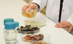 BTÜ'den ürünlerin raf ömrünü uzatacak doğal ambalaj