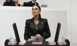 CHP'li Özcan'dan Muğla'da taşınmaz satışlarına sert tepki!