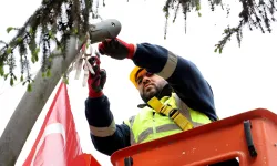 Sakarya'dan doğaya duyarlı çalışma
