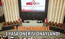 2 Yasa tasarısı ve 1 yasa önerisi onaylandı