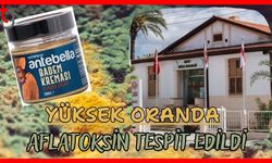 Yüksek oranda aflatoksin tespit edildi
