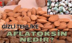 Gizli tehlike aflatoksin nedir?