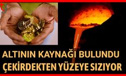 Altının kaynağı bulundu: Çekirdekten yüzeye sızıyor