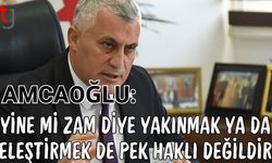 Amcaoğlu: "Yine mi zam diye yakınmak ya da eleştirmek de pek haklı değildir"