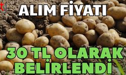 Alım fiyatı 30 TL olarak belirlendi