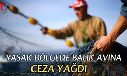 Yasak bölgede balık avına ceza yağdı
