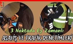 3 noktada eş zamanlı asayiş ve trafik denetimleri