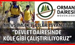 Mevsimlik işçiler isyan etti: "Devlet dairesinde köle gibi çalıştırılıyoruz"