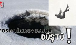 Foseptik kuyusuna düştü!