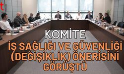 Komite İş Sağlığı ve Güvenliği (Değişiklik) önerisini görüştü