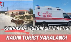 Karpaz'da eşeğin çifte attığı kadın turist yaralandı!