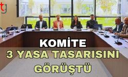 Komite 3 yasa tasarısını görüştü