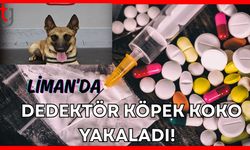 Liman'da dedektör köpek Koko yakaladı!