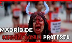 Madrid'de kırmızı boyalı  protesto