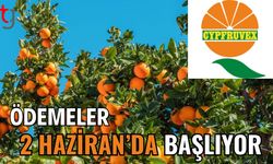 Ödemeler 2 Haziran'da başlıyor