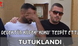 Dedektör köpek "Koko" tespit etti: Tutuklandı