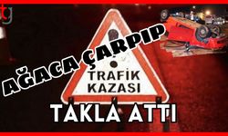 Ağaca çarpıp takla attı